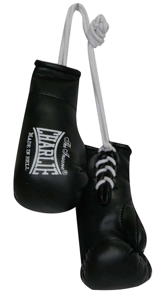 Miniguantes Charlie coche boxeo