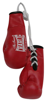 Miniguantes Charlie coche boxeo