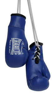 Miniguantes Charlie coche boxeo