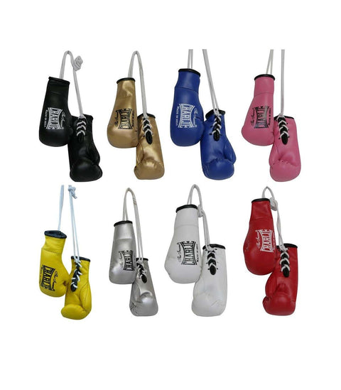 Miniguantes Charlie coche boxeo