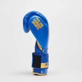 Guantes boxeo DNA Leone GN220 azul