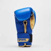 Guantes boxeo DNA Leone GN220 azul