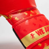 Guantes boxeo DNA Leone GN220 rojo