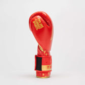 Guantes boxeo DNA Leone GN220 rojo